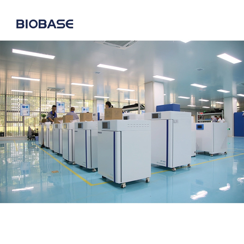 Biobase Stainless Steel Type Dual Purpose Drying Oven Incubator for Lab