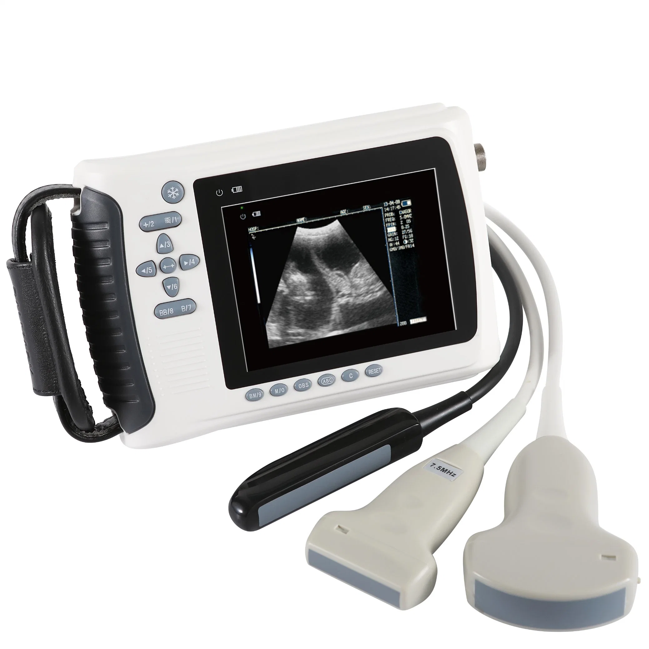 Escáner portátil de ultrasonidos BW para uso veterinario