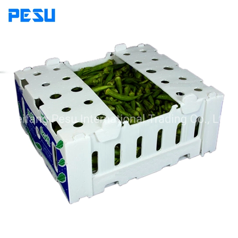 PP Hollow Sheet for Fruit Box