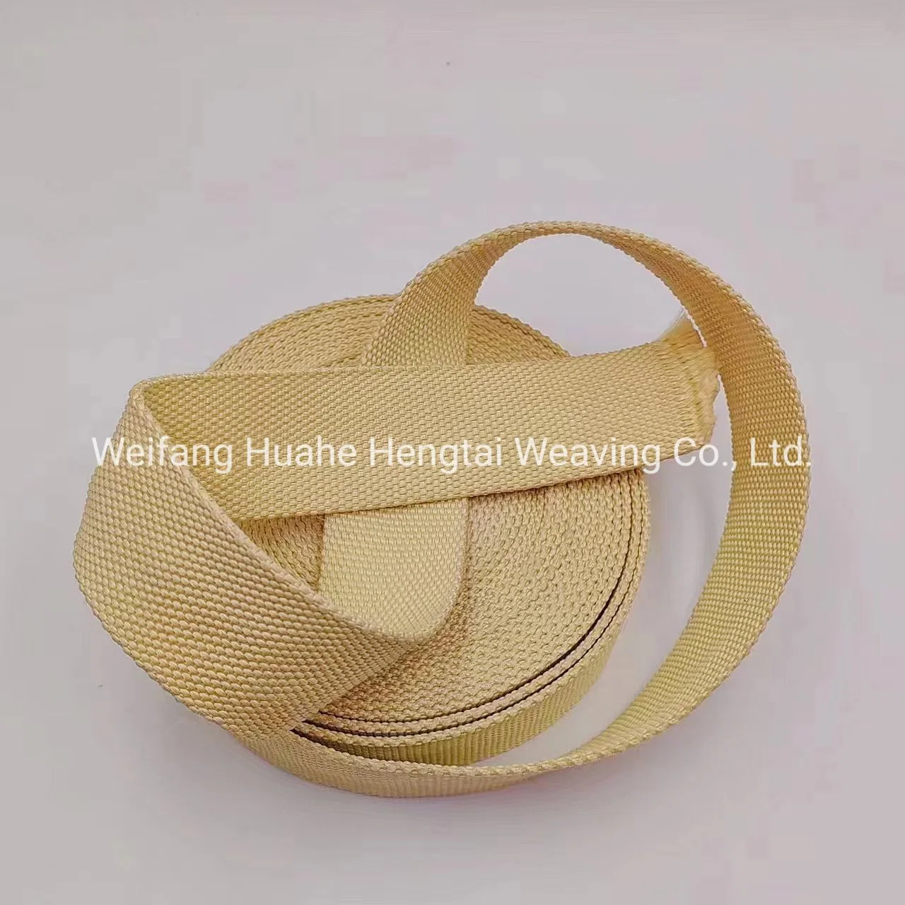 Aramid Webbing Safety Belt Industrial Sling