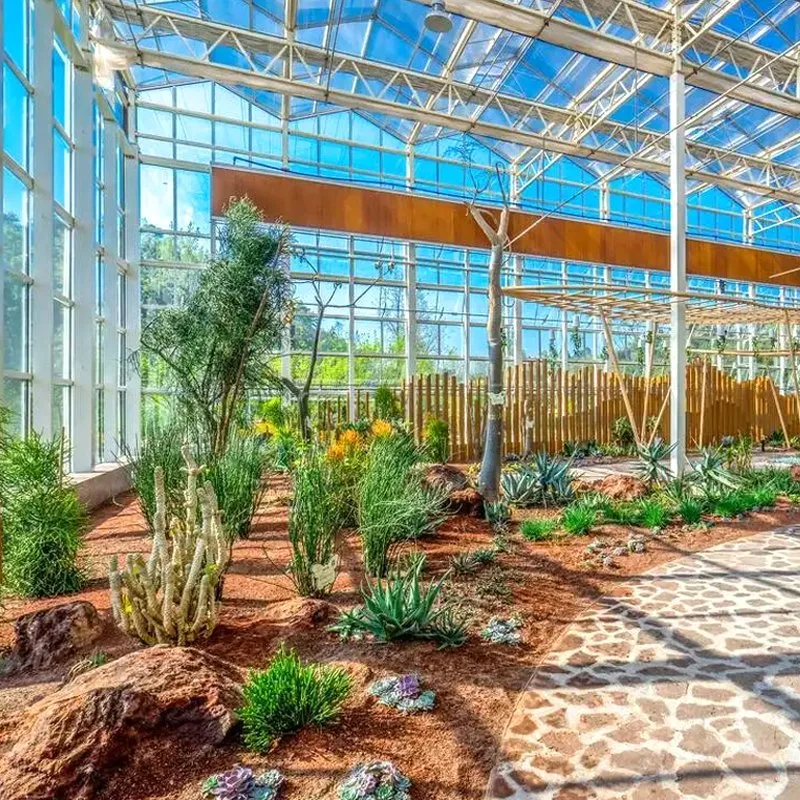 Venlo Single/Double Film/Glass Greenhouse con sistema de cultivo de hidropónicos para hortalizas/ Flores/ Tomato/ Granja/ Jardín/ Eco Restaurante / Agricultura