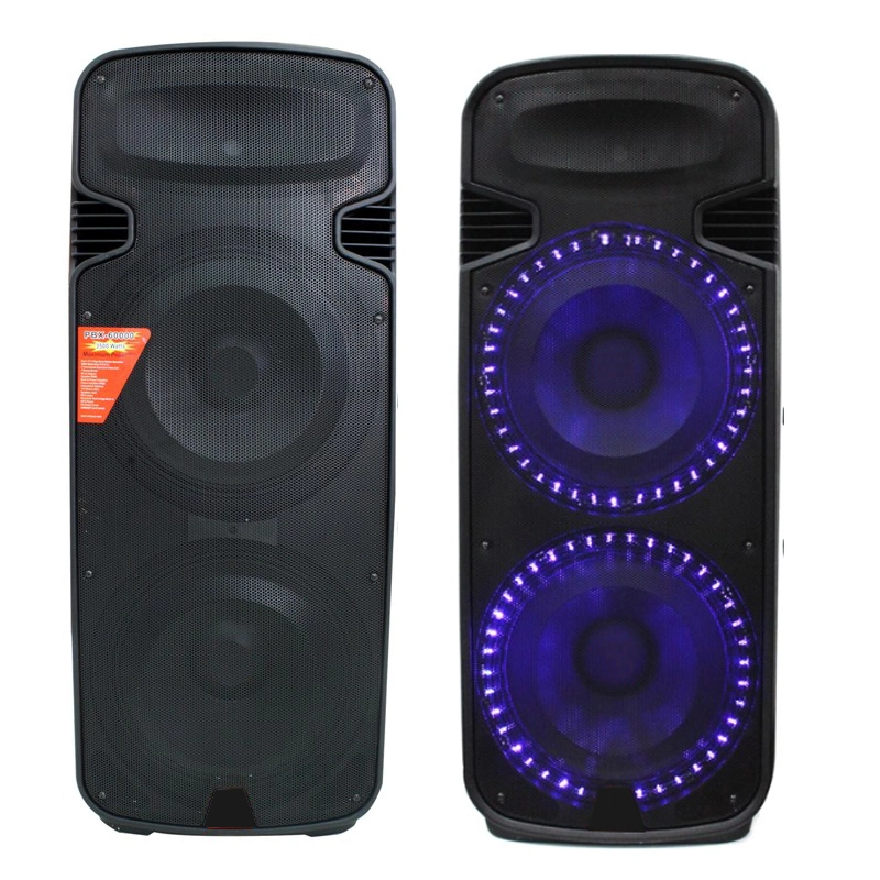 OEM China Manufacturer Custom DJ Sound Speaker Bluetooth Double 15inch