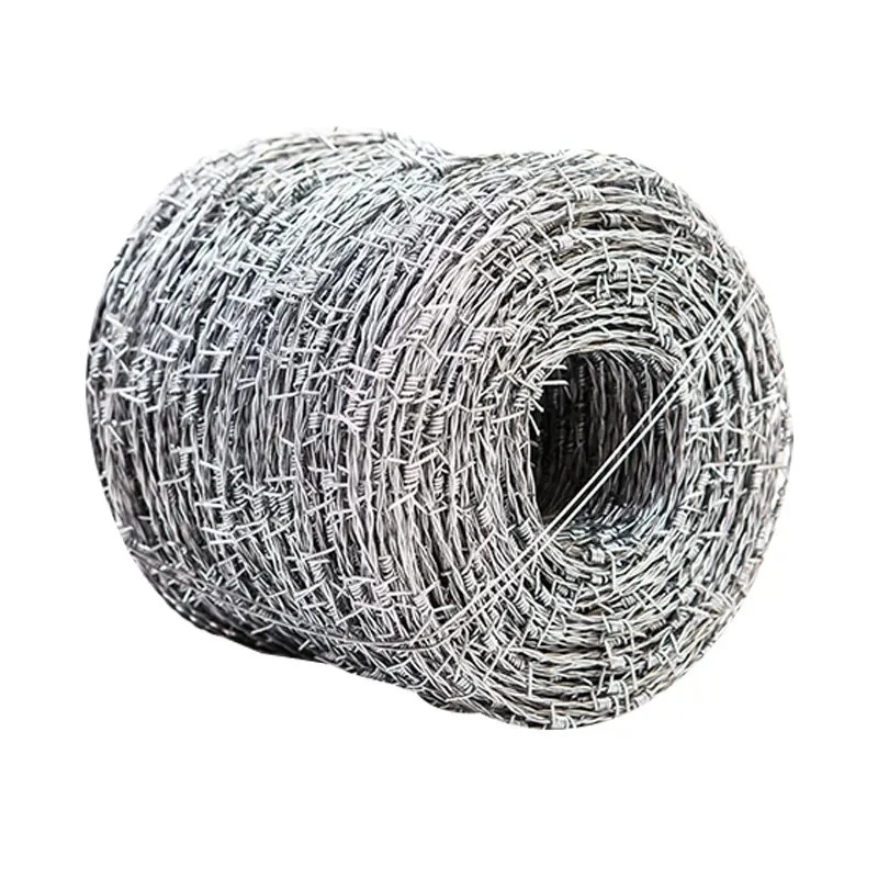 Hot-DIP Galvanizing Thorn Rope /Metal Wire Mesh/Galvanized Blade Thorn Rope