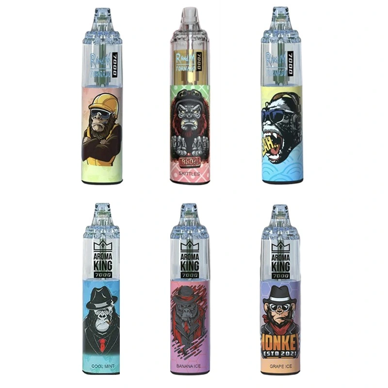 Hot Sell Einweg Vape Puff Bar Randm Tornado 7000 9000 10000 12000 Großhandel/Lieferant i Vape