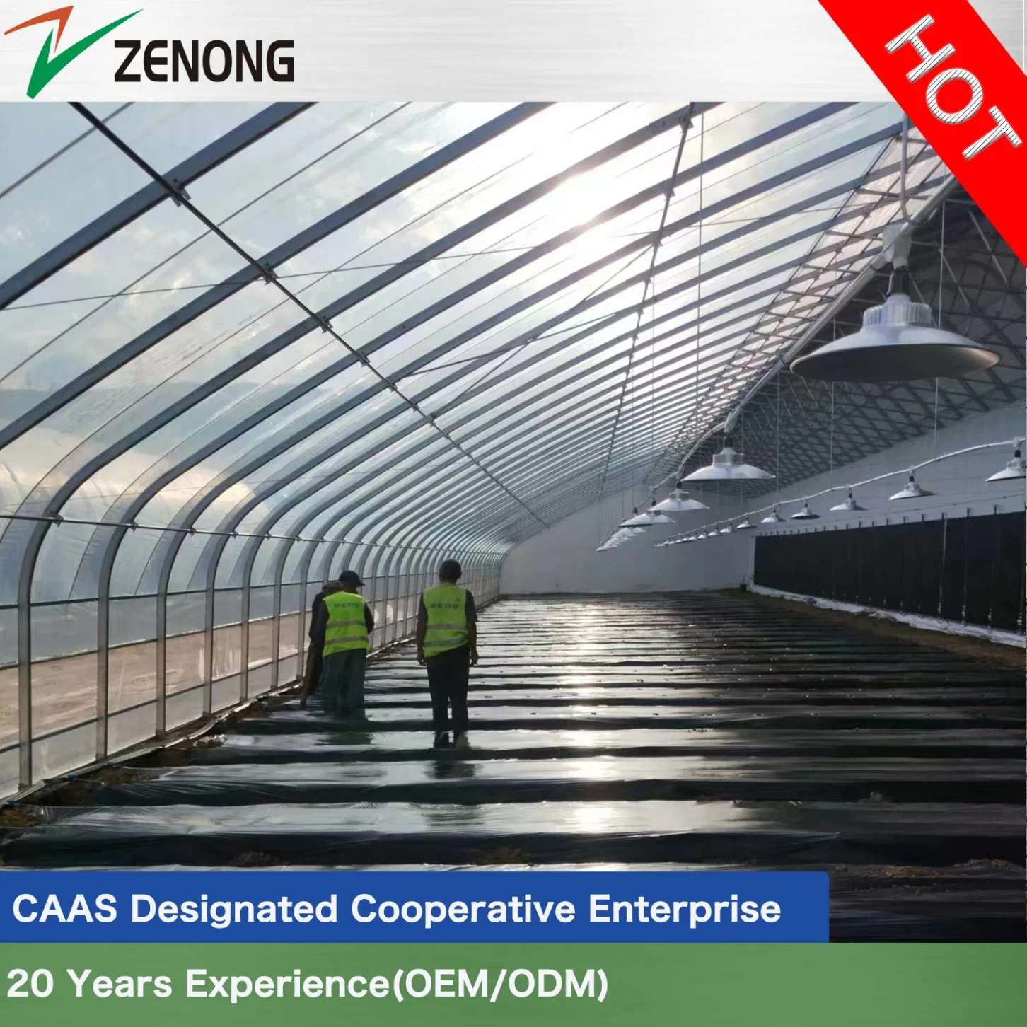 Single Slope Sunglight Greenhouse with Zero Energy Consumption Patent Panels for Winter Vegetables Culture