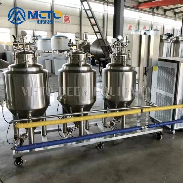 with Stainless Steel Fermenter Mash Tun Small Beer Brewing System 50L Brewhouse Nano Brewery Equipment