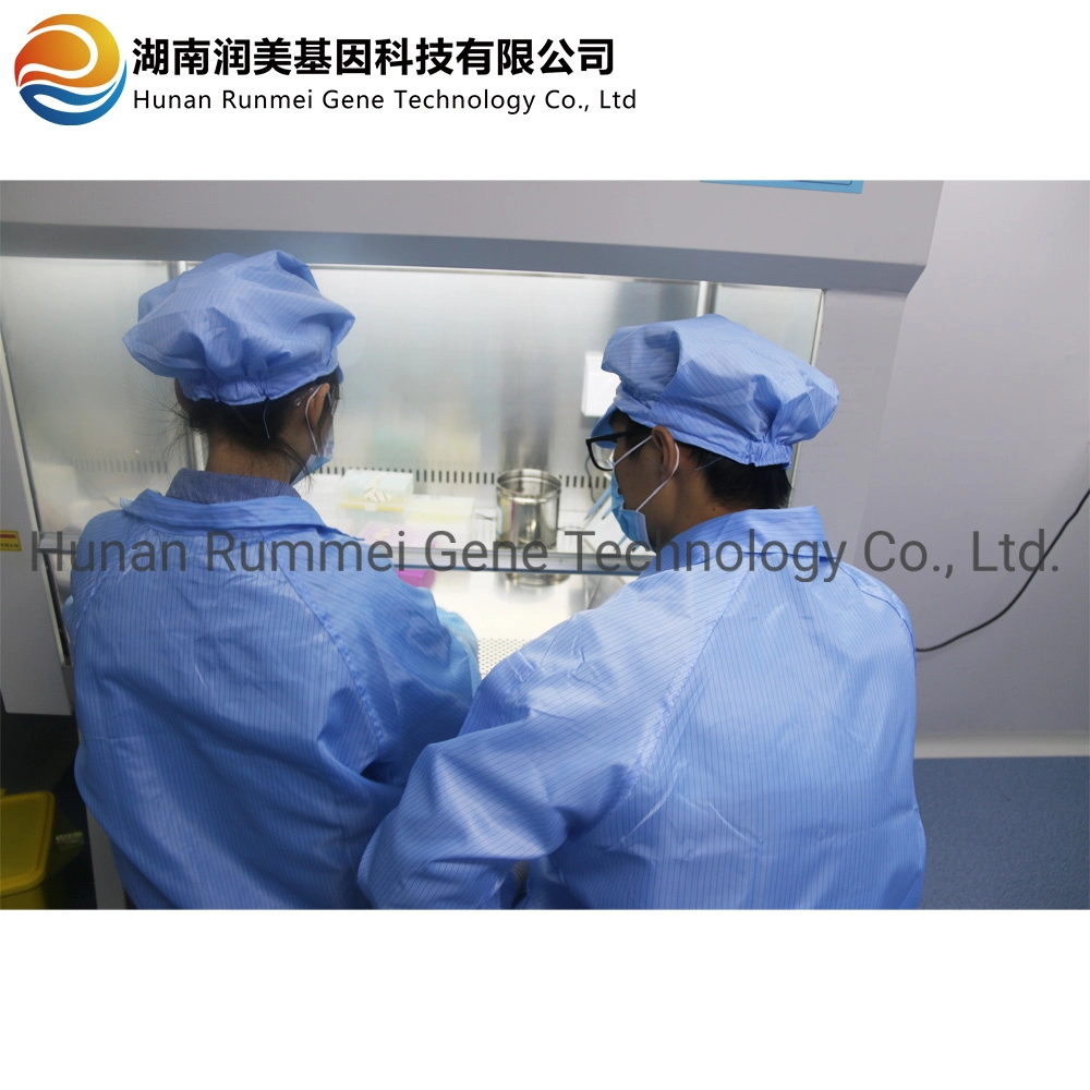 Automated Nucleic Acid Extraction Machine Medical Equipment Nucleic Acid Testing Machine Nucleic Acid Extraction System