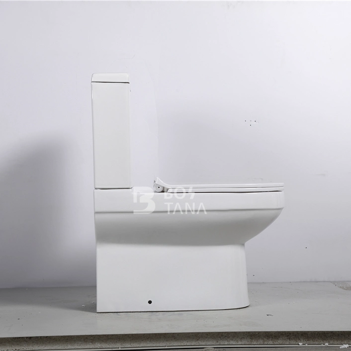 Diseño Europeo Washdown Sanitary Ware barato P-Trap dos piezas de inodoro