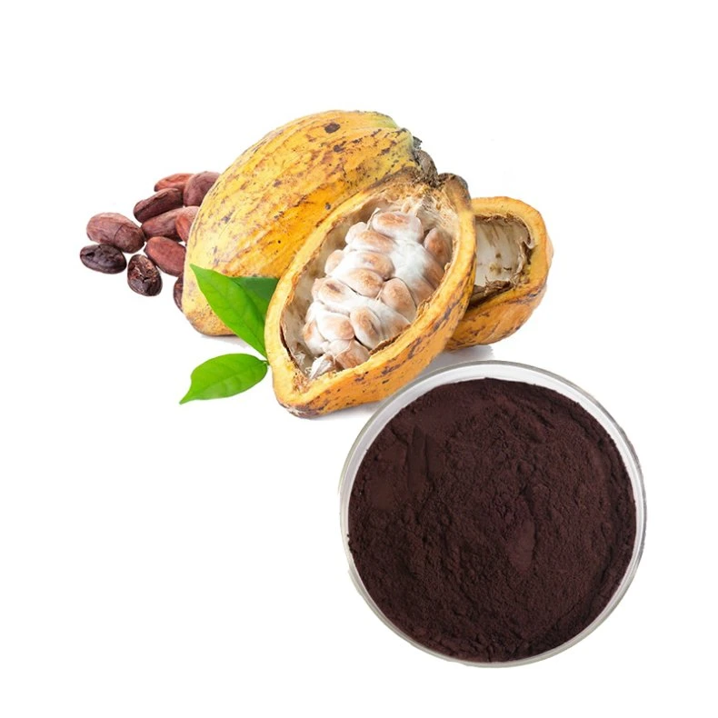 2023 Hot Selling Organic Pure Cocoa Extract 100% Theobromine Powder