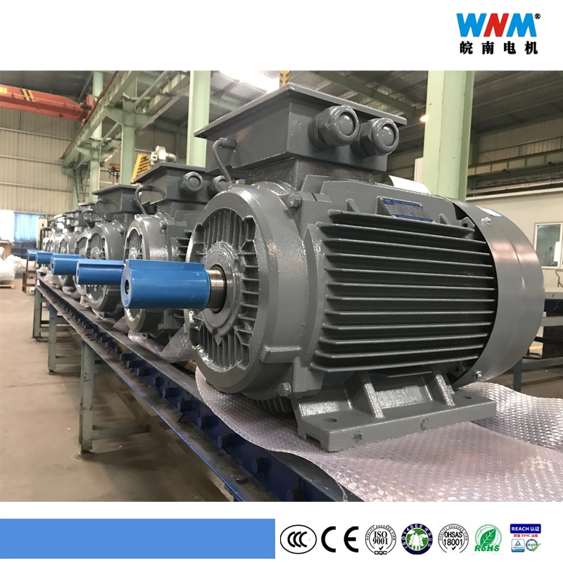 Wnm Brand High Power Premium Efficiency Ie3 / Ie4 Industrial Induction Motor 355kw Frame 355, 400, 450