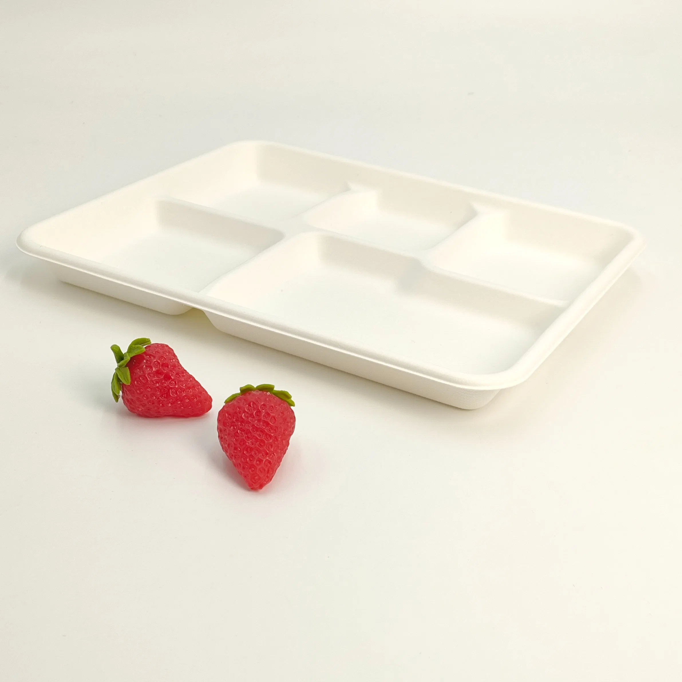 100% Biodegradable Compostable Paper Sugarcane Pulp Food Container Dessert Bagasse Tray with 5 Compartment