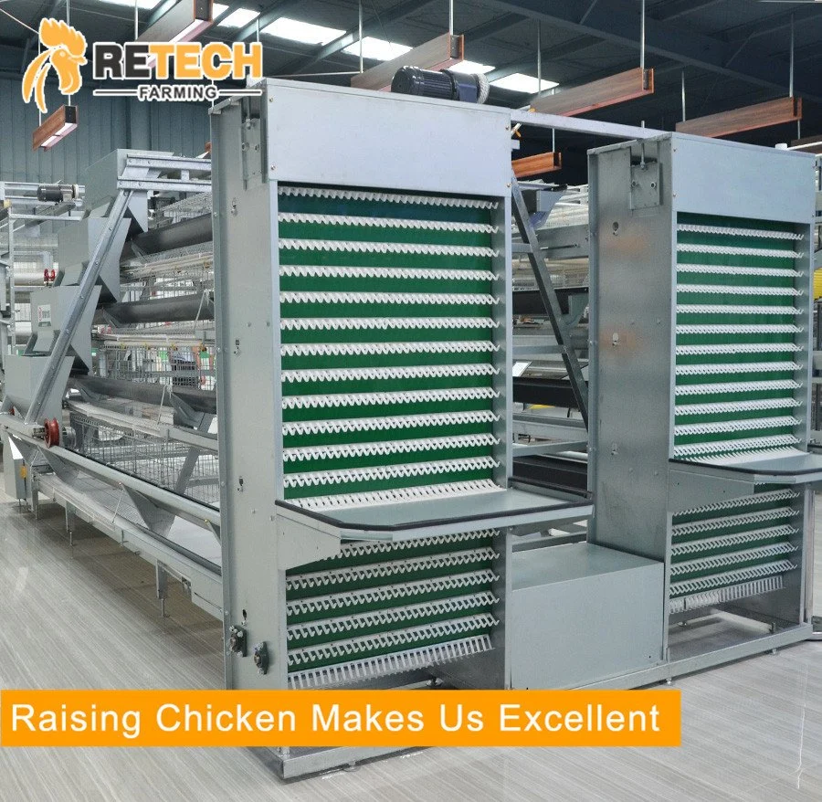 15-20 years life time A Type Automatic Poultry Cage For Layer