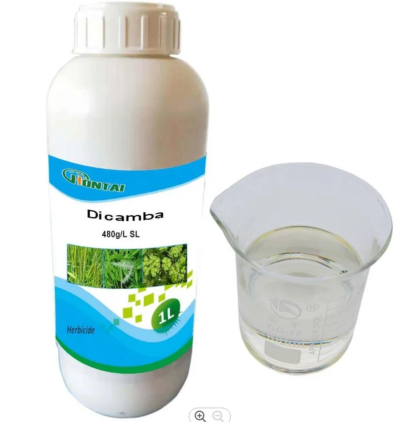 Weed Control Herbicide Dicamba 480g/L SL 98% Tc 480 Gl SL