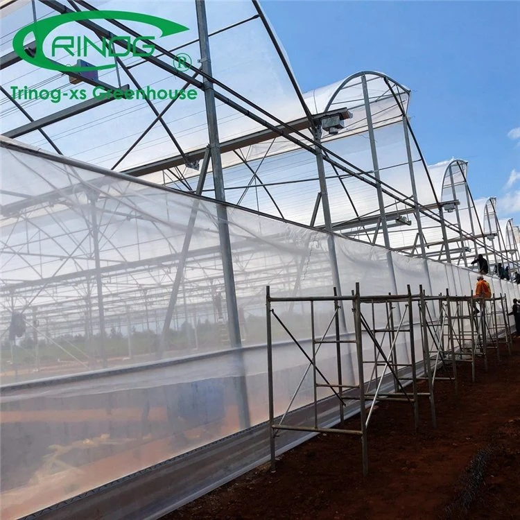 High quality/High cost performance High Tech Plastic Film Multi-span Greenhouse for Hydroponics Growing