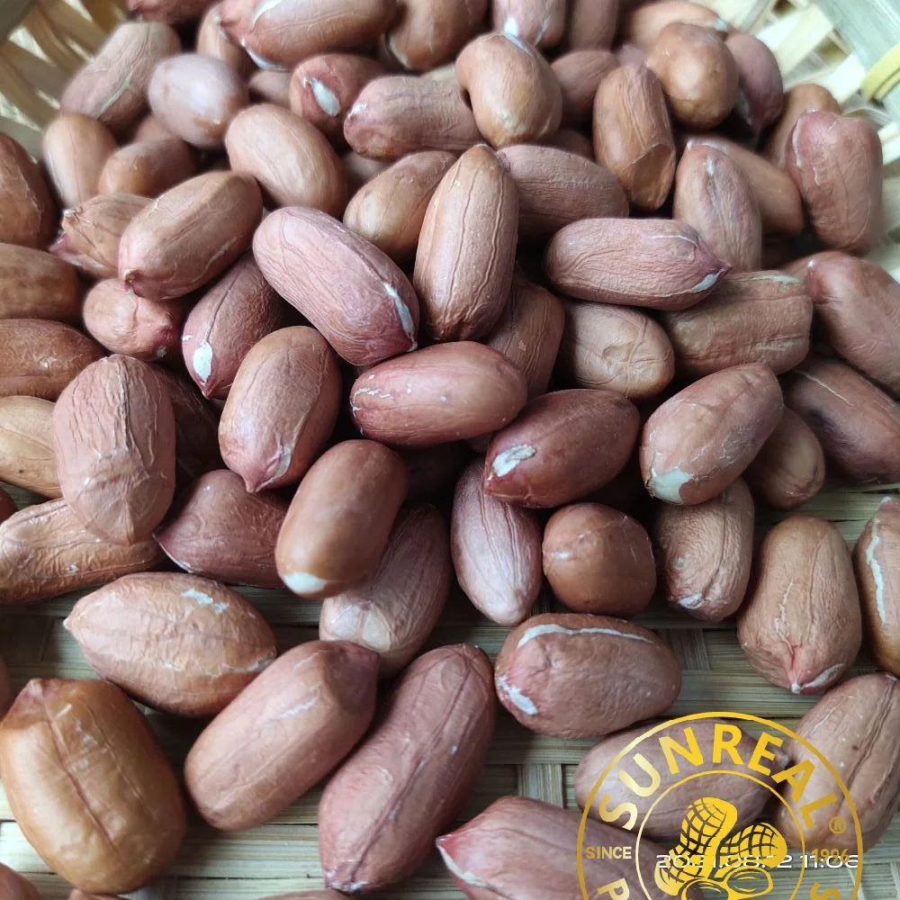 Raw Peanut Kernels Virginia 28/32 China/High quality/High cost performance  Peanut Seeds