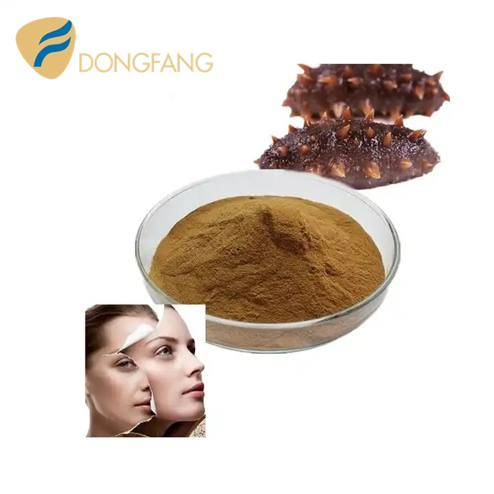 Best Price of Dried Sea Cucumber Protein Powder/ Sea Cucumber Peptide