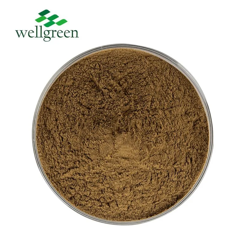 Chinese Herb Additive Factory Supply Professional Extracts Microcos Paniculata Extract