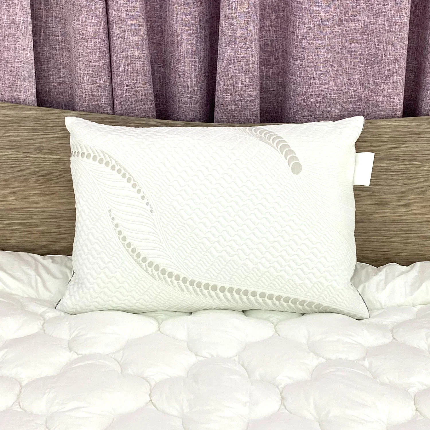 Factory Price Plain Bedding 100% Pes Fiber Shredded Latex Pillow with Zipper