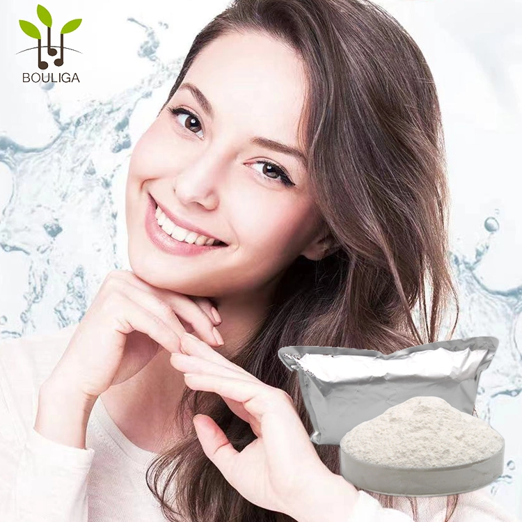 Fillers Injection Grade Hyaluronic Acid Powder Microbial Fermentation Sodium Hyaluronate