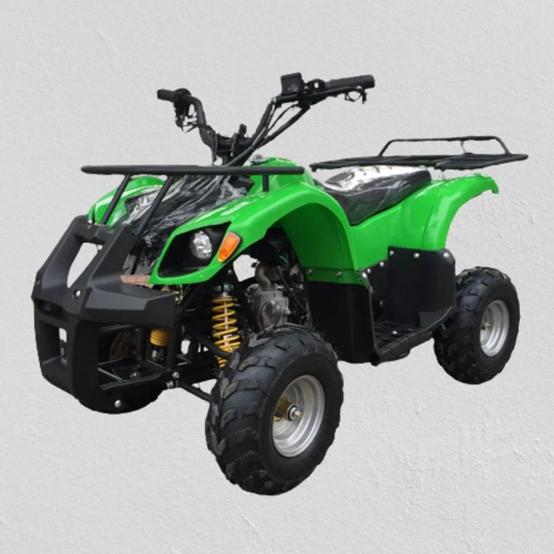 Quad VTT pour enfants avec la certification CE