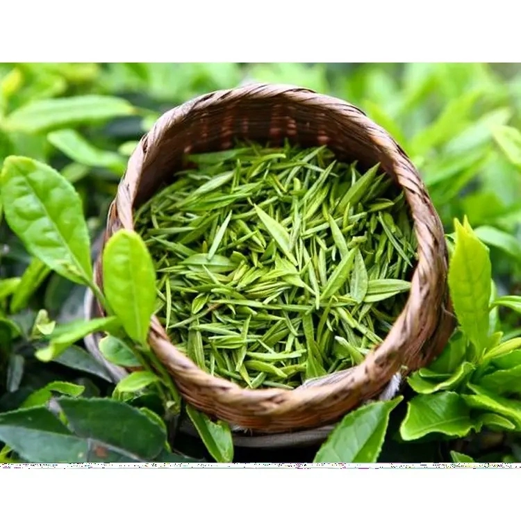 Chá polifenóis grau alimentar Catequinas Green Tea Extract (CAS: 84650-60-2)