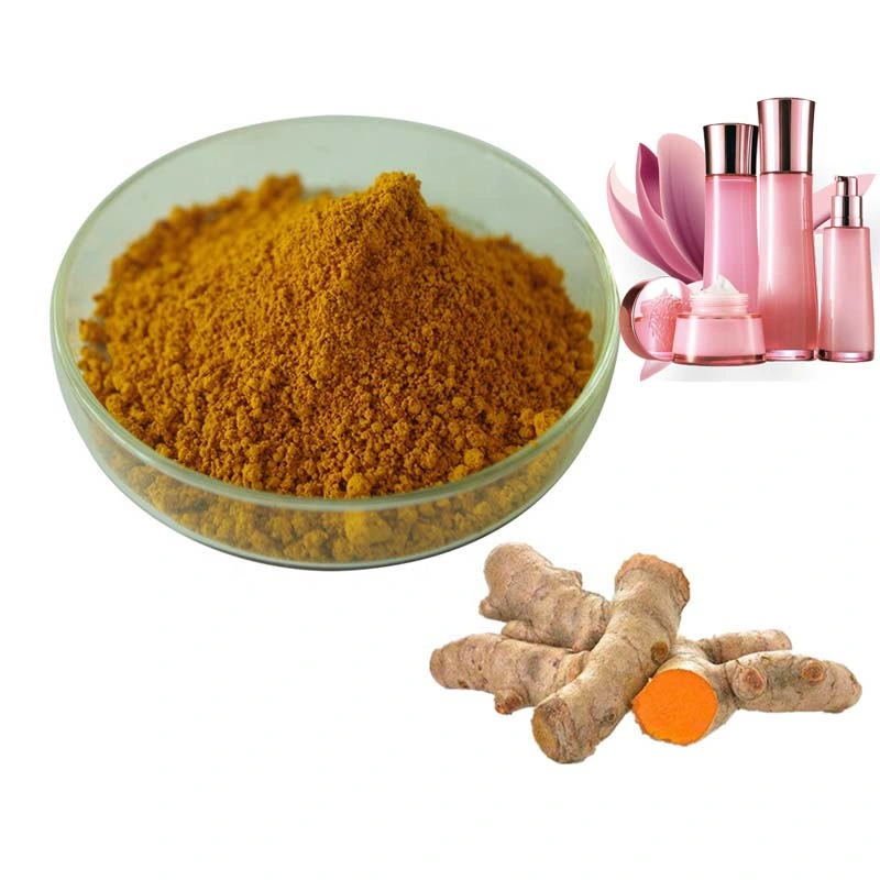 Haute pureté extrait de racine de curcuma en poudre 95 % 98 % de la Curcumine avec le grade pharmaceutique