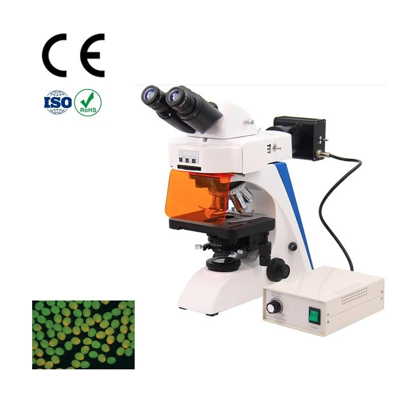 Microscope Soldering Binocular Fluorescence Microscope for Microscopes Low Price