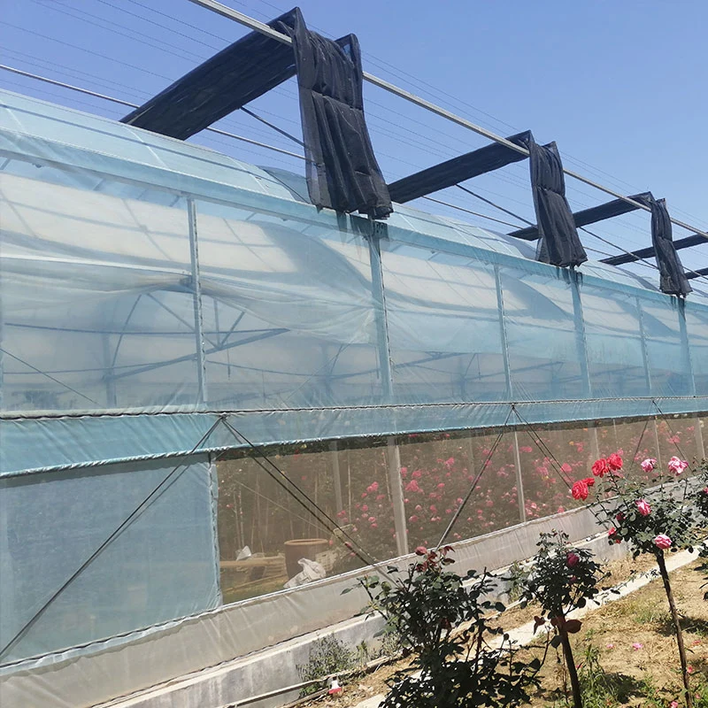 Plastic Film Greenhouse for Vegetable