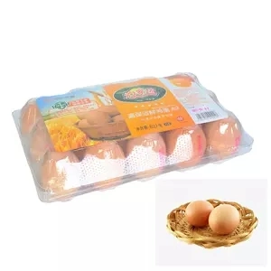 Factory Direct Perforated Center Folded Anti-Fog POF Cross-Linked Shrink Film for Egg Bulk Packaging