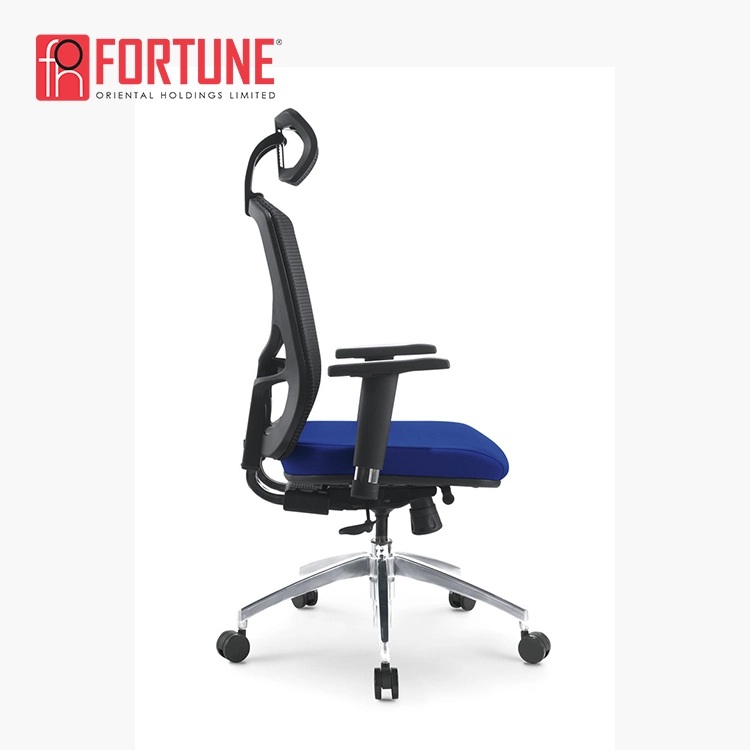 Blue Ergonomic Mesh Office Chair with High quality/High cost performance  (FOH-XM2A-B)