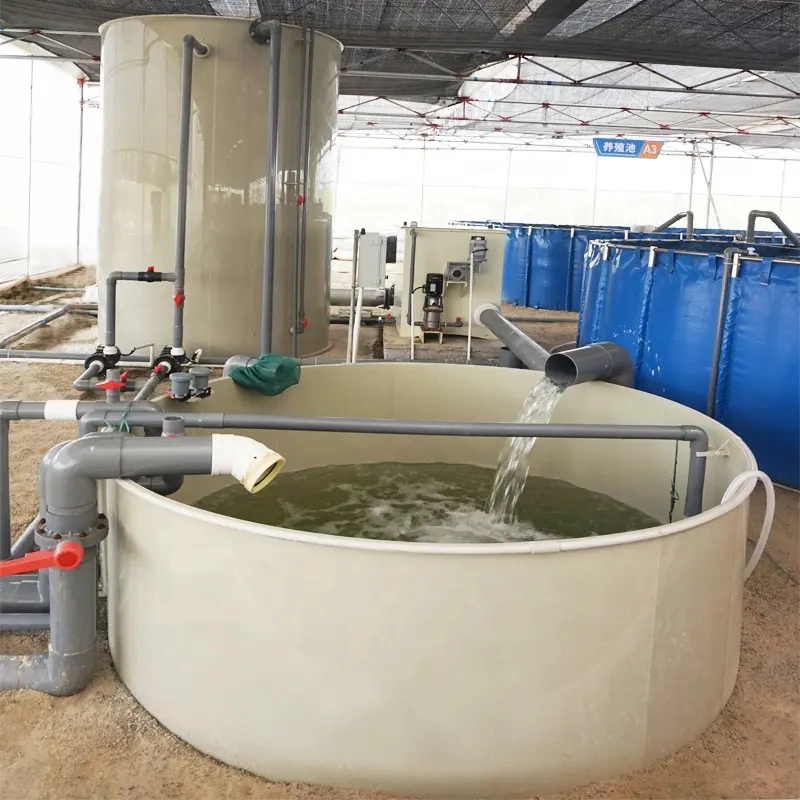 Fabrik Customized Biologische Filter Rezirkulation Fisch wachsen aus System