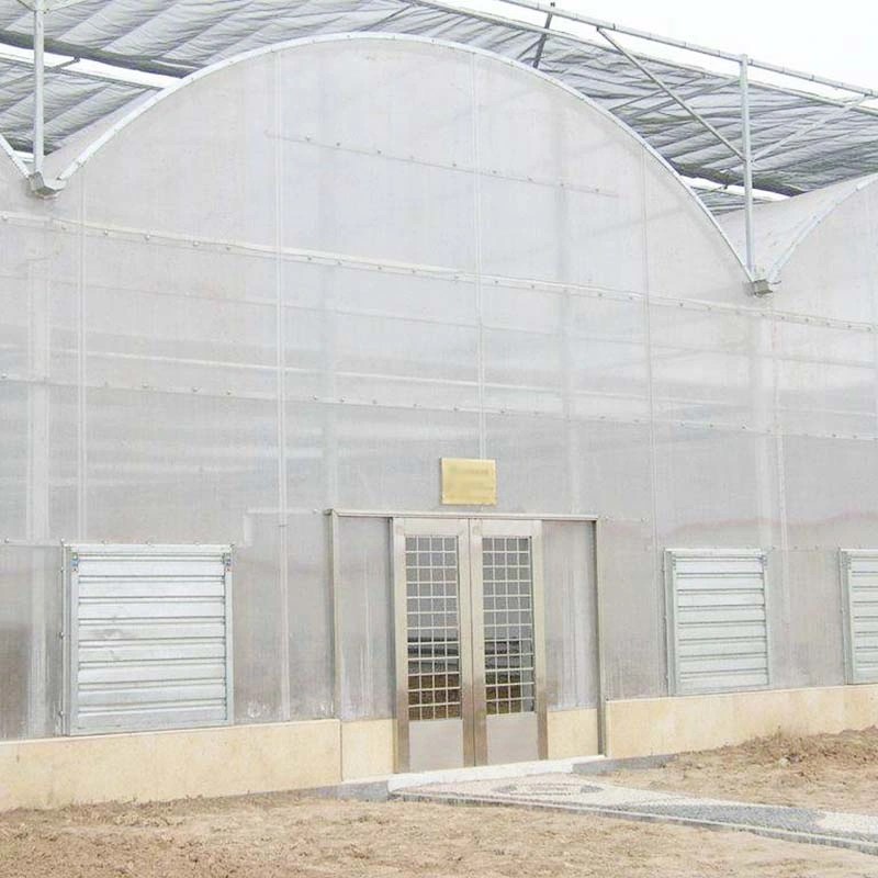 Tunnel Multi Span Warm Agro Garden Green House with Shading System