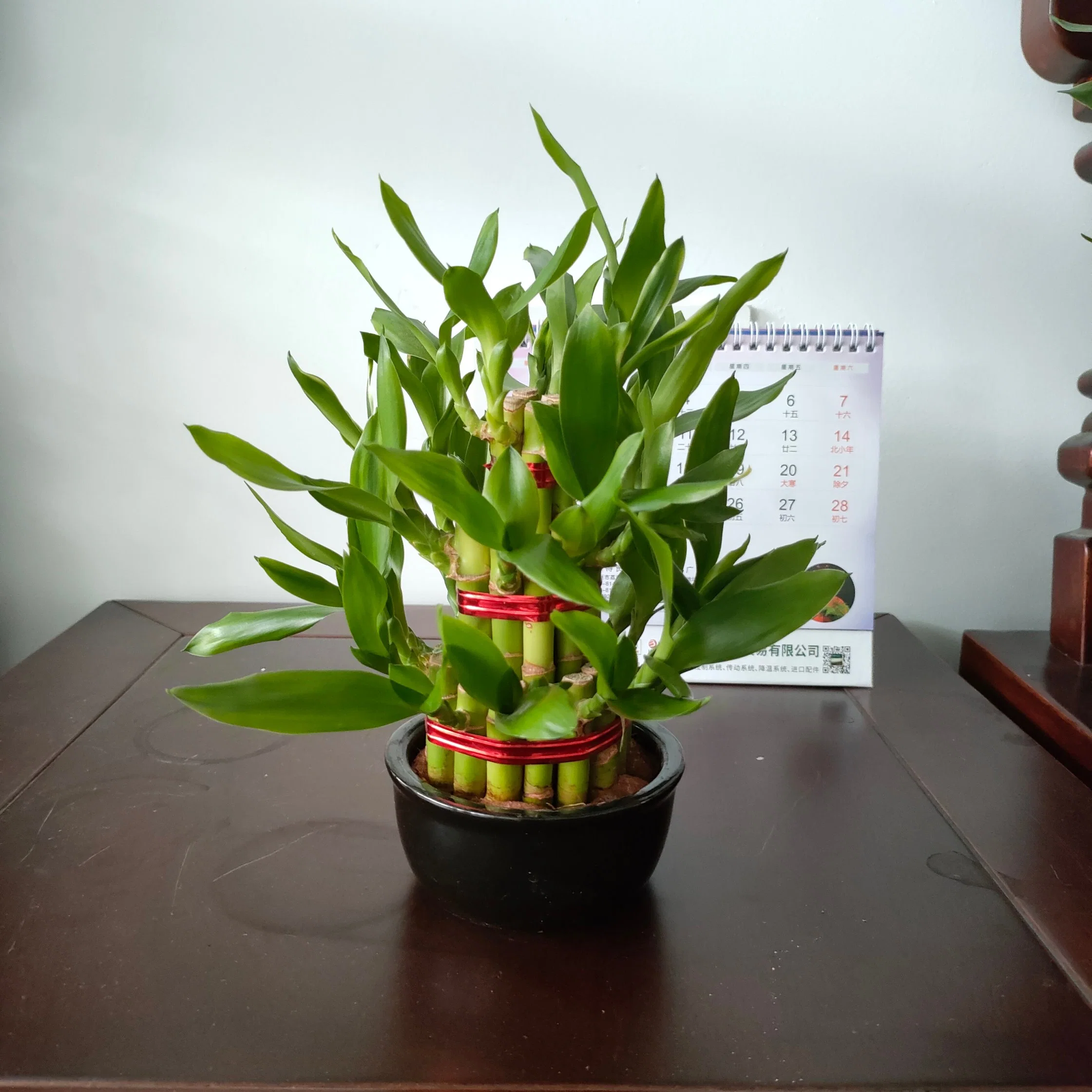 Dracaena Sanderiana S3 Tiers Tower Lucky Bamboo Artificial Indoor Bamboo Tree