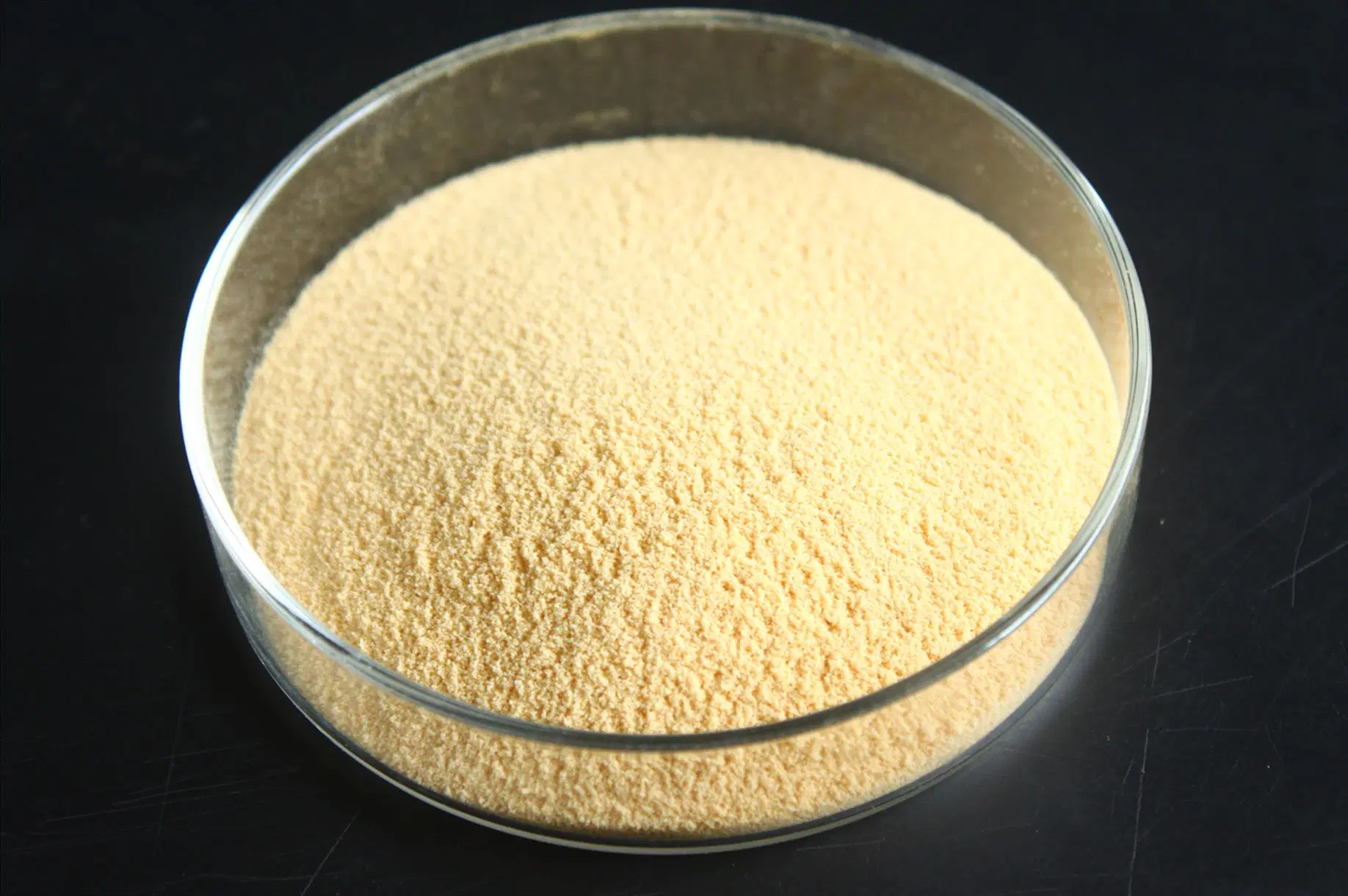 High quality/High cost performance Small Molecule Corn Protein Peptide Powder