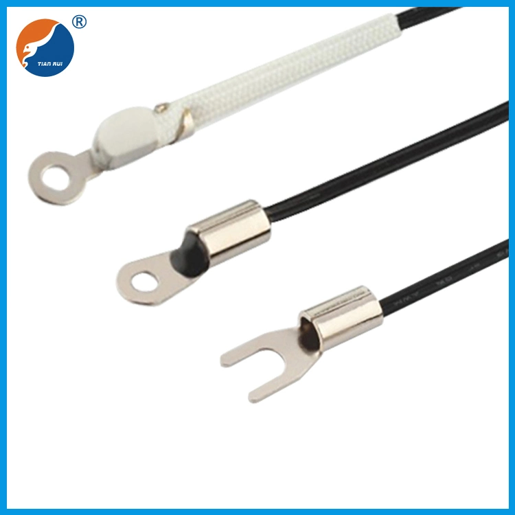 Glas eingekapselter Thermistor-Widerstand Ntc Fühler