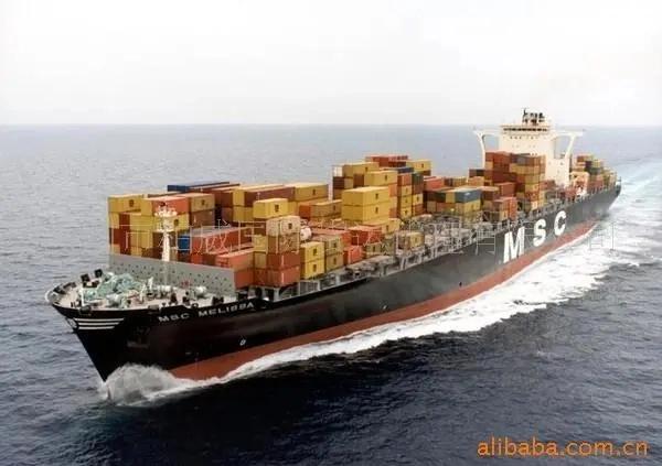 Sea Freight Shipping Agent From China to Dominica FCL&LCL Caucedo/Rio Haina