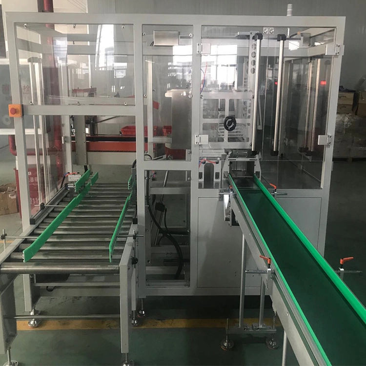 Factory Price Automatic Case Packer Box in Big Carton Packaging Machine