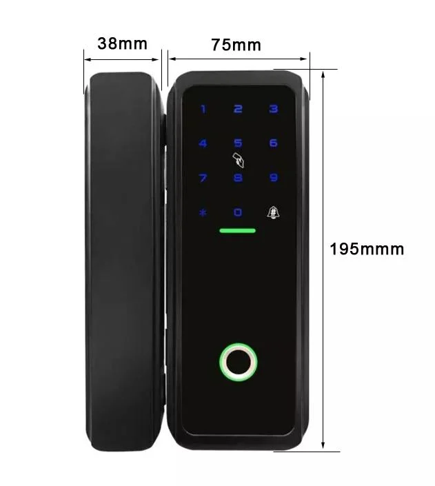 Fingerprint Recognition Lock WiFi Remote Control with IC Card Password for Frameless Glass Door Push or Sliding Door Smart Lock Ttl APP