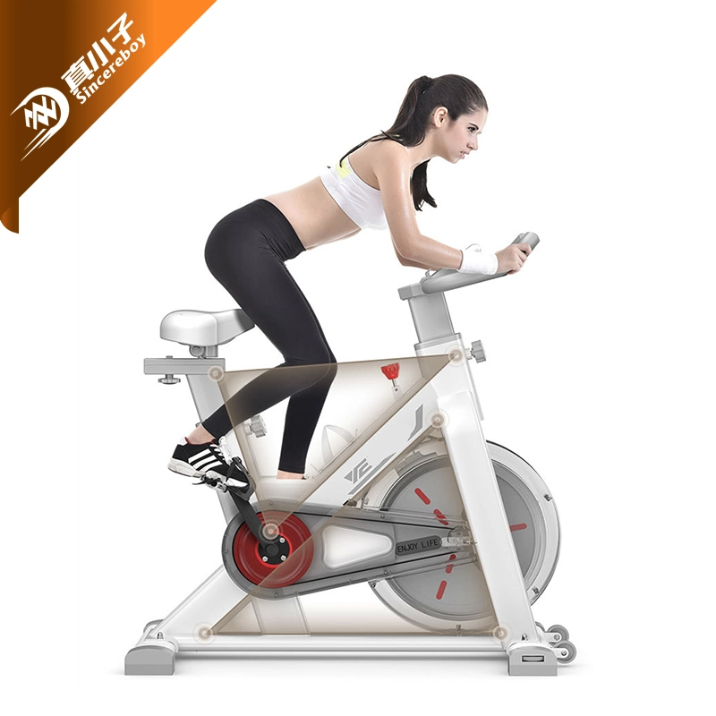 OEM Indoor Cycling, Commercial Magnetic Spin Bike, Stationary Gym Cycle Exercise Bike