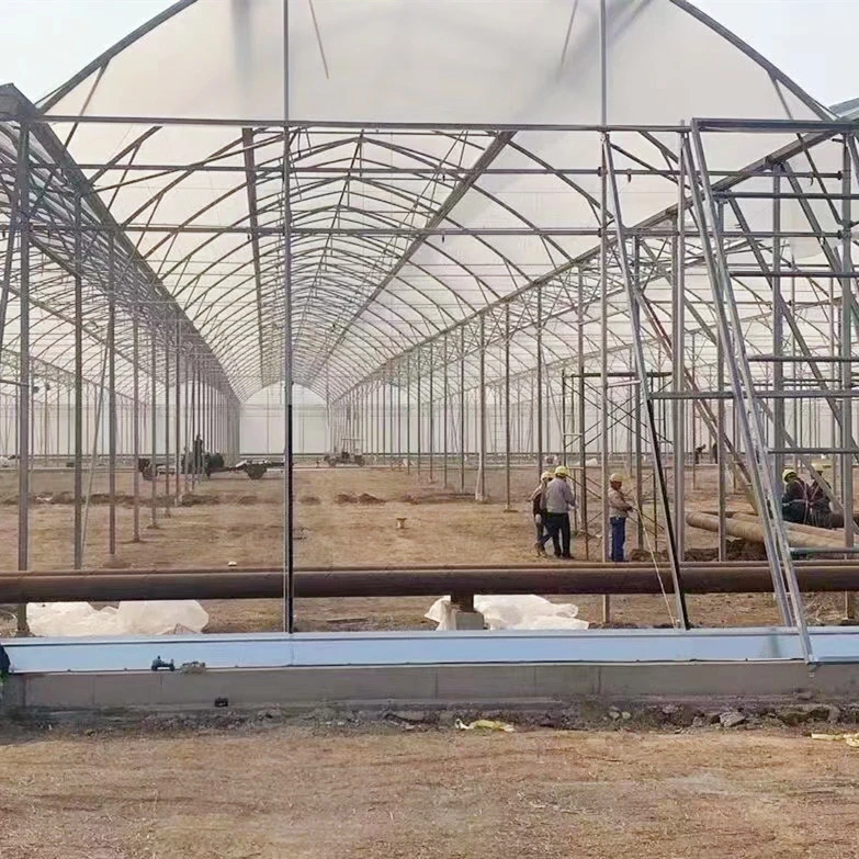 À grande échelle Polytunnel Isarel style maison de fleurs de serre de film pour la plantation de Rose coupées fraîches/fleurs/la culture hydroponique et de légumes