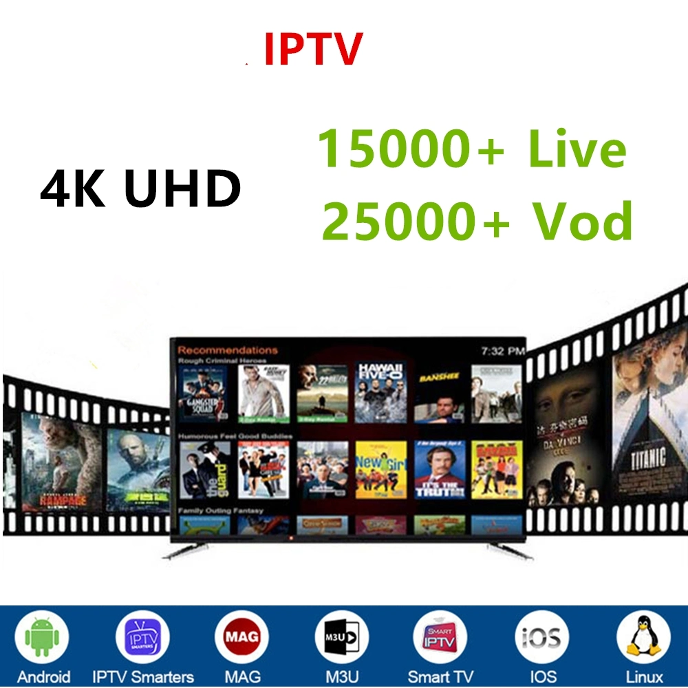 Professional IPTV Subscription World Server Reseller Panel mit M3U Kanälen Frankreich Großbritannien Spanien Deutschland Italien Schweden Android Set Top TV Feld