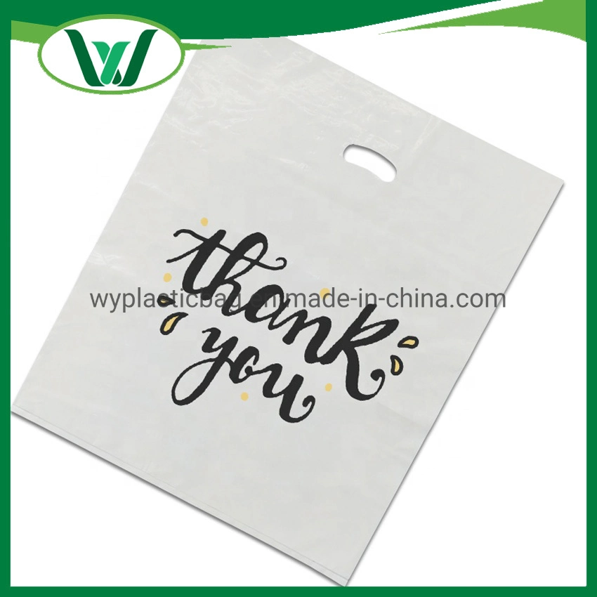 LDPE HDPE Plastic Colorful Different Standard Size Shopping Bags Custom Plastic PE Die Cut Handle Shopping Bag