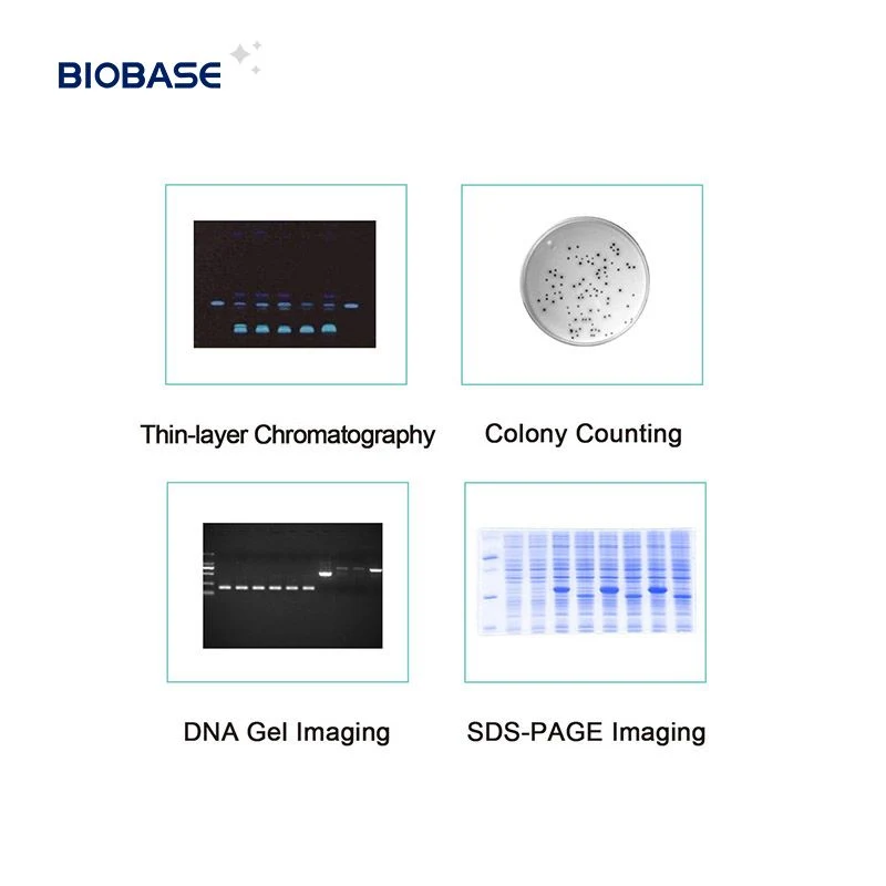 Sistema de Ayálisis de Imágenes de Gel automático BioBase equipos de electroforesis para laboratorio