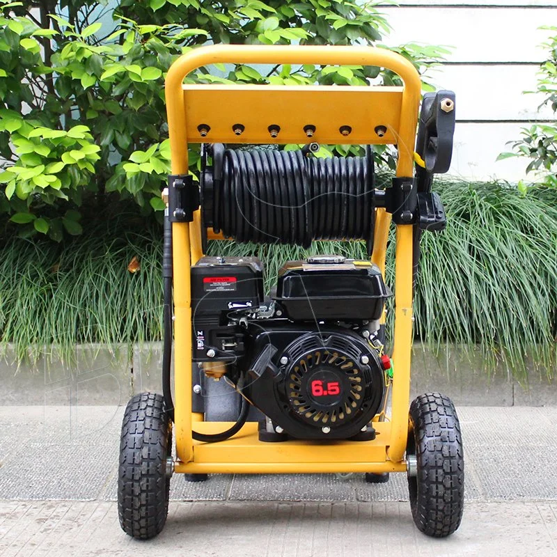 Bison 170 Bar Portable 220V Household Gasoline High Pressure Washer