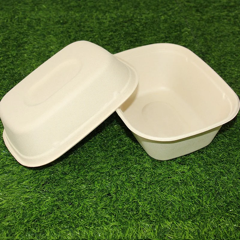 24oz 32oz 42oz Compostable Bio Oval Rectangle Salad Bagasse Food Box Manufacturing Process Takeaway Packaging Bowl with Clear Lid