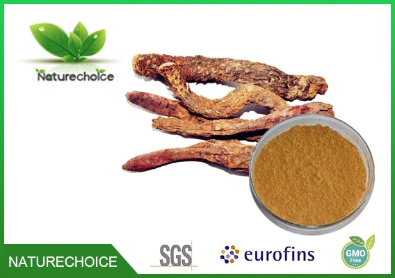 Cistanche Deserticola Extract, Organic Natural Cistanche Deserticola Extract