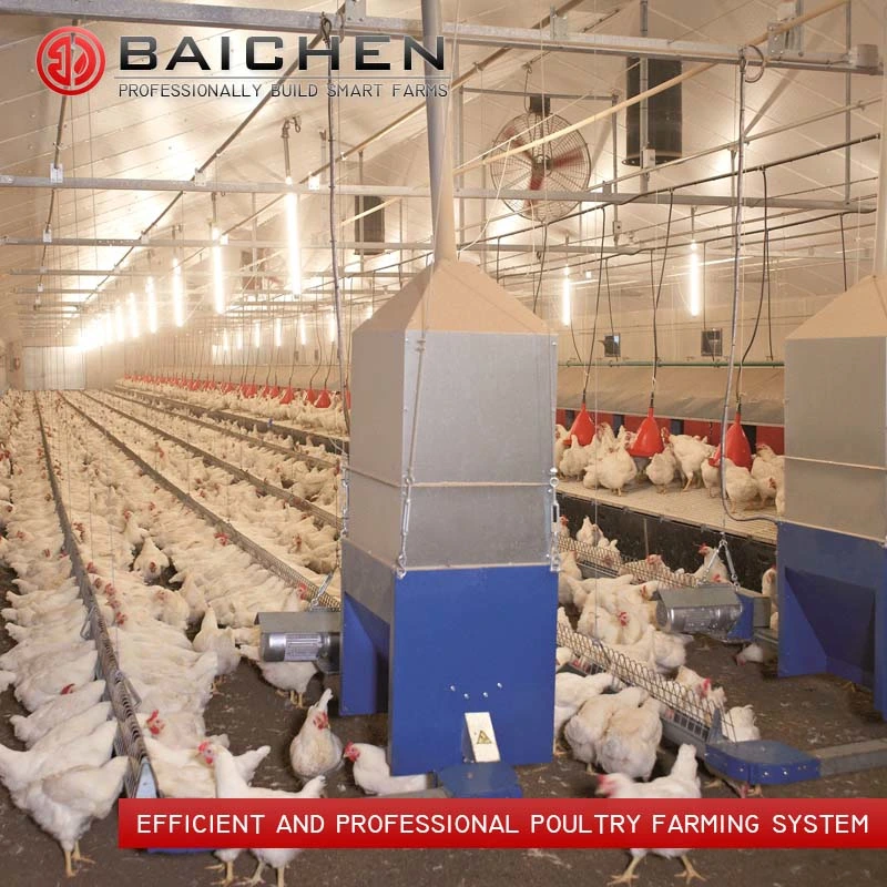 Automatic Poultry Breeder Chicken Feeder Farm Chain Feeding System