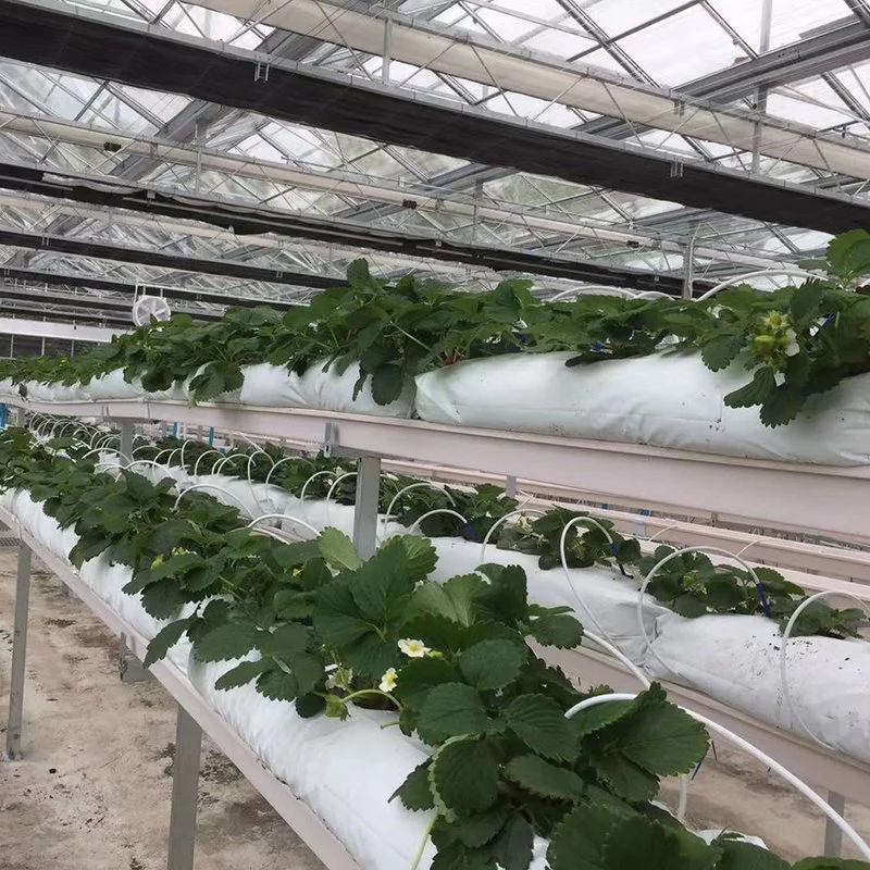 Hydroponic Strawberry Gutter PVC Gutter System for Greenhouse Strawberry Growing