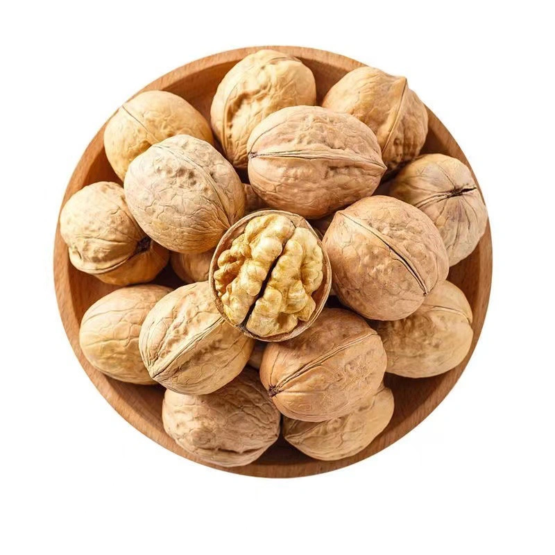 Factory Supply Lowest Price Walnut Inshell Xinjiang 185 Thin-Skinned Walnut