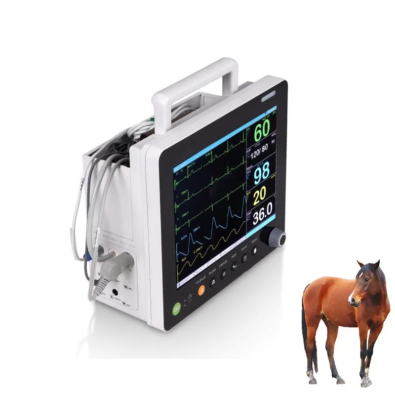 Moniteur de surveillance d'anesthésie vétérinaire 12.1 pouces de paramètres vitaux Vet Animal Moniteur PET médical portable pour patient pour Vet